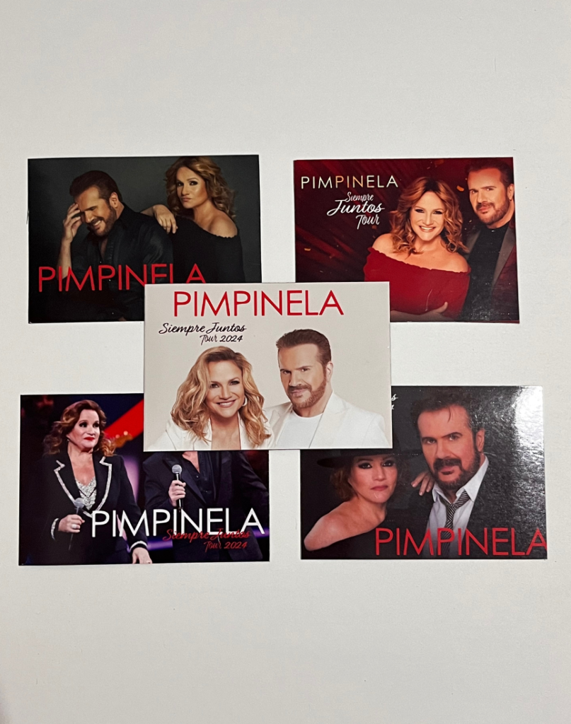 Imán personalizado con diseño exclusivo — merch decorativa - Pimpinela
